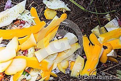 Yellow discarded food cut is close Stock Photo