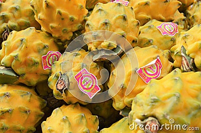 Yellow Dragon Fruit Exotic Editorial Stock Photo