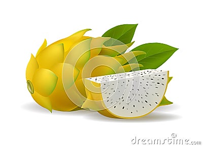 Yellow dragon fruit Vector Illustration