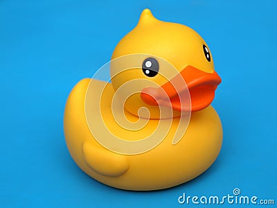 Yellow Duck Stock Photo