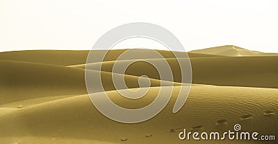 Yellow dunes Stock Photo