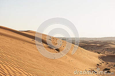 Yellow Dunes on suunset desert, Sharjah,UAE Stock Photo