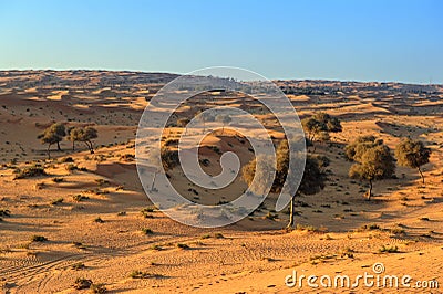 Yellow Dunes on suunset desert, Sharjah,UAE Stock Photo