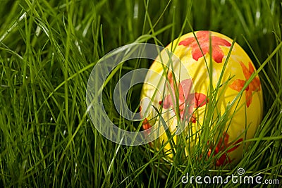 Yellow Easter egg Stock Photo