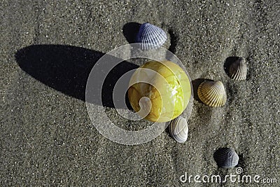 Yellow Easter Egg on the Beach Stock Photo