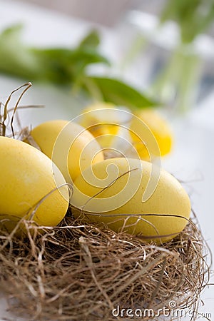 Yellow easter eggs Stock Photo