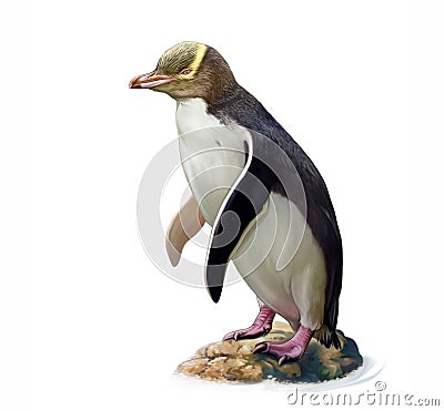 The yellow-eyed penguin Megadyptes antipodes Cartoon Illustration