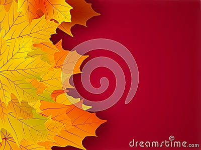 Yellow fall leaves on a red background. Vector Illustration