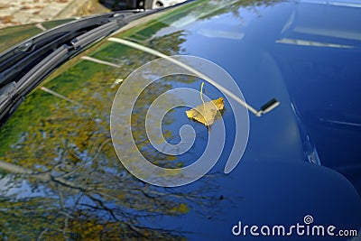 Yellow fallen leaf on the windshield with street reflections on the window. Autumn/fall background. Stock Photo