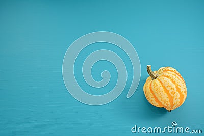 Yellow Festival squash on a teal wooden background Stock Photo