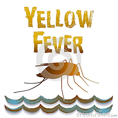 Yellow Fever Mosquito, Standing Water Vector Illustration