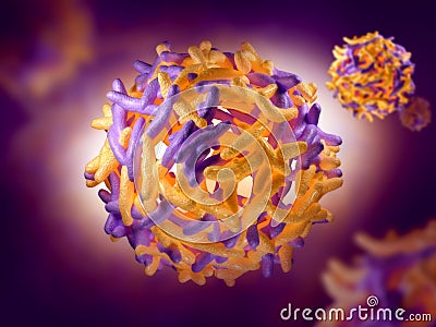 Yellow Fever Virus Stock Photo