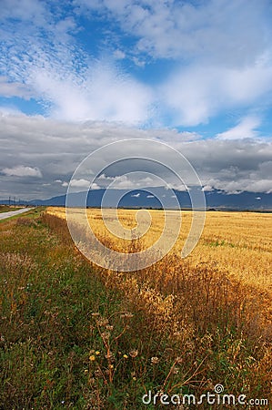 Yellow fields, clouds and mountains. Stock Photo