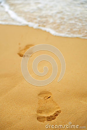 Footprints of a man`s bare feet on the sand from the ocean to the shore. Stock Photo