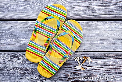Yellow flip flops and tiny palm. Stock Photo