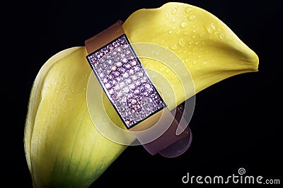 Yellow flower and bracelet Stock Photo