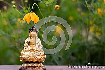 A yellow flower hanging as umbrella over a small Buddha statue for divinity and religion concept Stock Photo