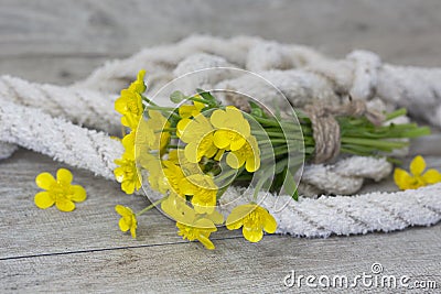 Yellow Flower And Spip Rope Stock Photo