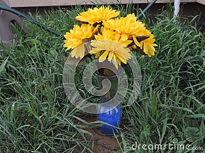 Yellow Flower in Vase Stock Photo