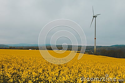 Yellow flowering rapeseed fields. Countryside landscape Stock Photo