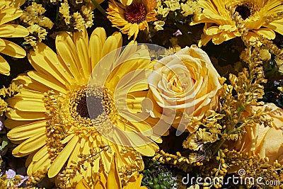 Yellow flowers background. Top view. Yellow rose and gerbera. Stock Photo