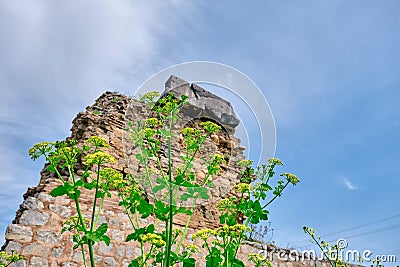 Old and ancient city wall in nicaea iznik Bursa Stock Photo