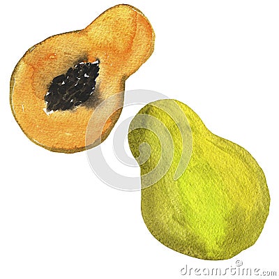 Yellow fresh papaya set. Watercolor. Cartoon Illustration
