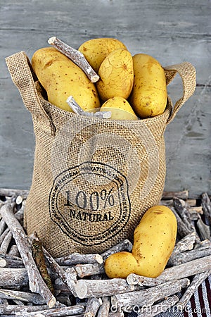 Yellow Fresh potatoes in a jute bag Stock Photo