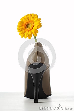 Yellow gerbera flower in womens shoe Stock Photo