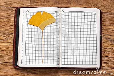 Yellow gingko leaf on the book on the floor Stock Photo