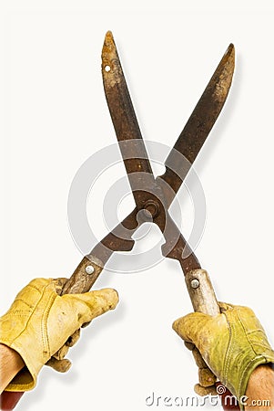 Yellow Gloves and Garden Shears Stock Photo