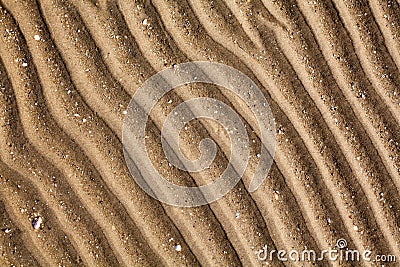 Yellow golden sand on sea beach top view close up, ribbed dry sand surface pattern, wavy curved diagonal lines texture Stock Photo