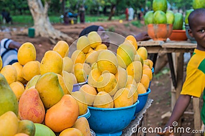 African red, yellow and green mangoes 2 Editorial Stock Photo