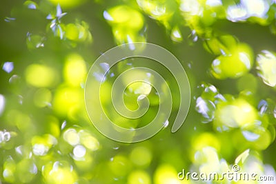 Yellow and Green Blurry Leaf Background Stock Photo