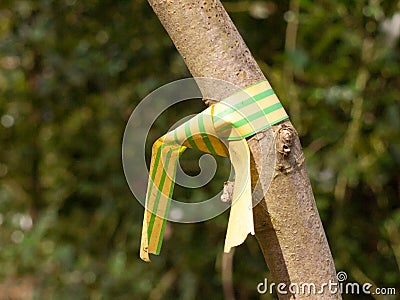 yellow and green plastic wrapped tied around tree close up branch uk tagging forestry Stock Photo
