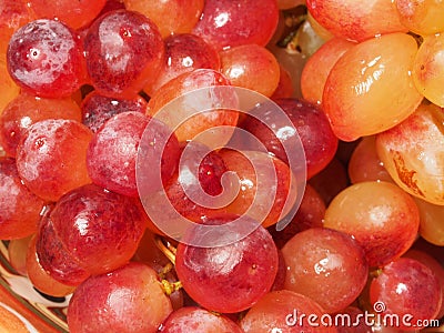 Yellow, green, red ripe Sultana grapes. Close up Stock Photo