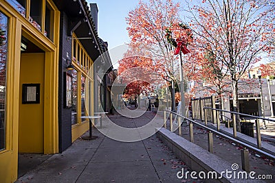 Yellow and green shops along a footpath with red autumn trees, lush green trees and fallen autumn leaves and people Editorial Stock Photo