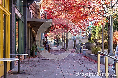 Yellow and green shops along a footpath with red autumn trees, lush green trees and fallen autumn leaves and people Editorial Stock Photo