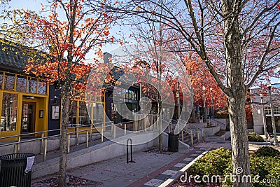 Yellow and green shops along a footpath with red autumn trees, lush green trees and fallen autumn leaves and people Editorial Stock Photo