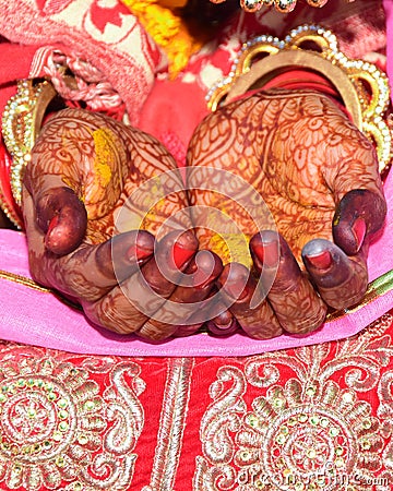 The yellow hands of the bride by the pandit at an Indian wedding Stock Photo