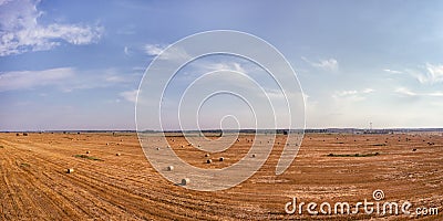 Yellow harvested field with haystacks large aerial panoramic view Stock Photo