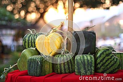 Yellow Heart shaped watermelon Stock Photo