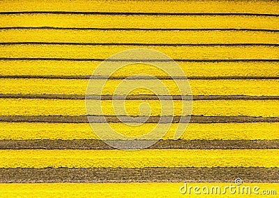 Yellow heat insulation material, texture of the euroblock in a hardware store, building material Stock Photo