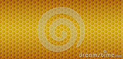 Yellow hexagonal realistic honeycomb seamless texture and flowing honey on transparent background Vector Illustration