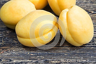 yellow homemade apricots Stock Photo