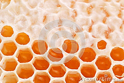 Yellow honey Stock Photo