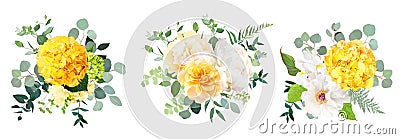 Yellow hydrangea, mustard rose, peony, white iris, orchid, spring garden flowers Vector Illustration