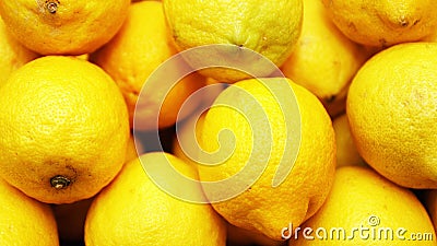 Yellow juicy ripe large lemons Stock Photo