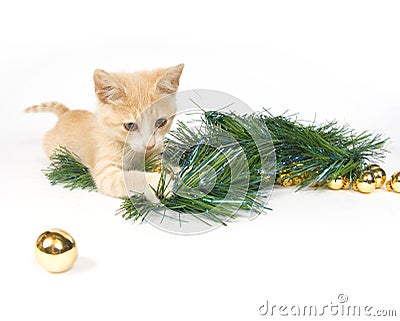 Yellow kitten playing with Christmas Decorations Stock Photo