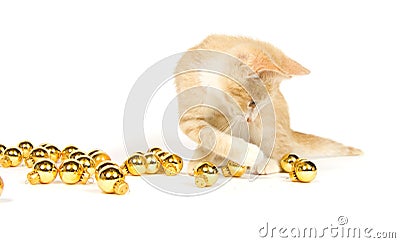 Yellow kitten playing with Christmas Decorations Stock Photo